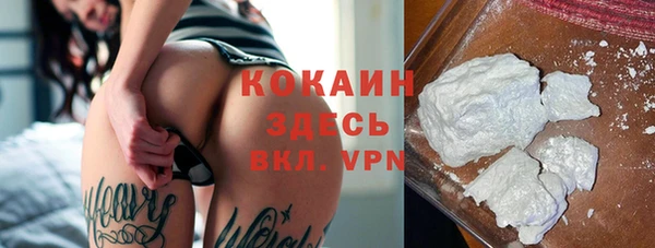 мяу мяу мука Бородино