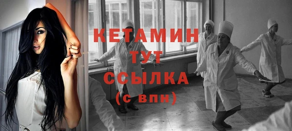 дмт Богданович