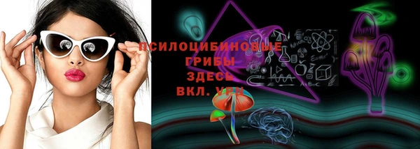 бошки Богородицк