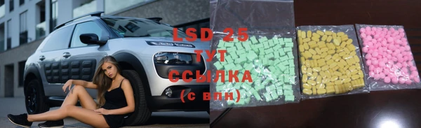 мяу мяу мука Бородино