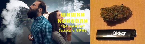 мяу мяу мука Бородино