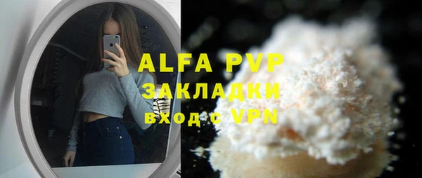дмт Богданович
