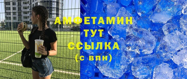 дмт Богданович