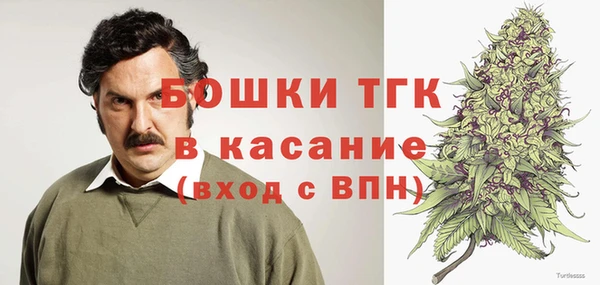 дмт Богданович