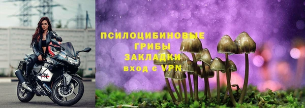бошки Каменск-Шахтинский