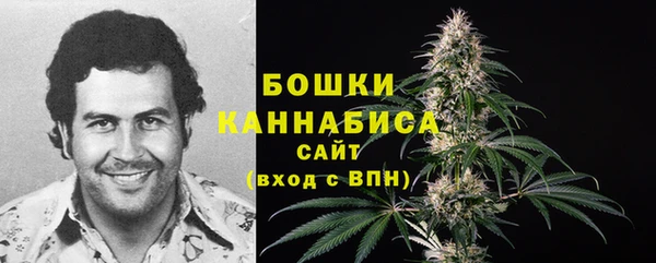 дмт Богданович